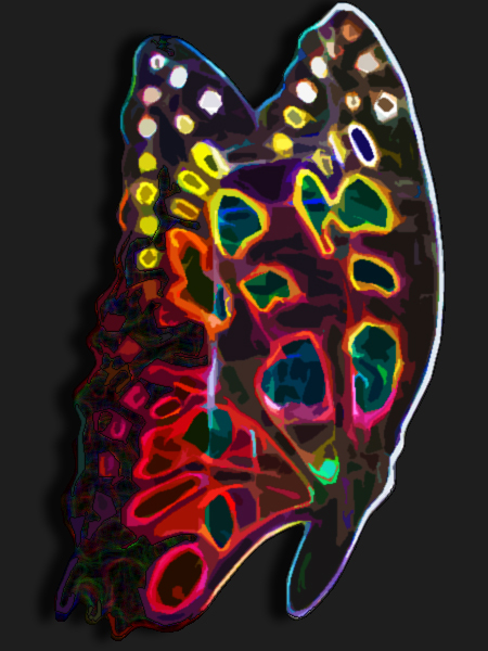 bunter Schmetterling