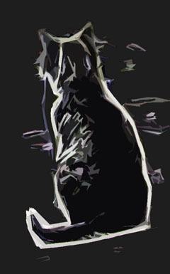 schwarze Katze von hinten